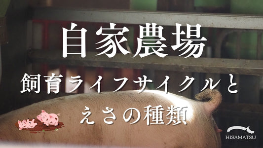 豚の飼育ライフサイクルとえさの種類:自家農場の「いも豚」