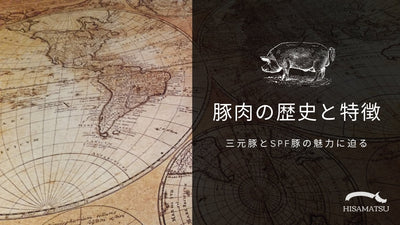 豚肉の歴史と特徴｜三元豚・SPF豚を徹底解説