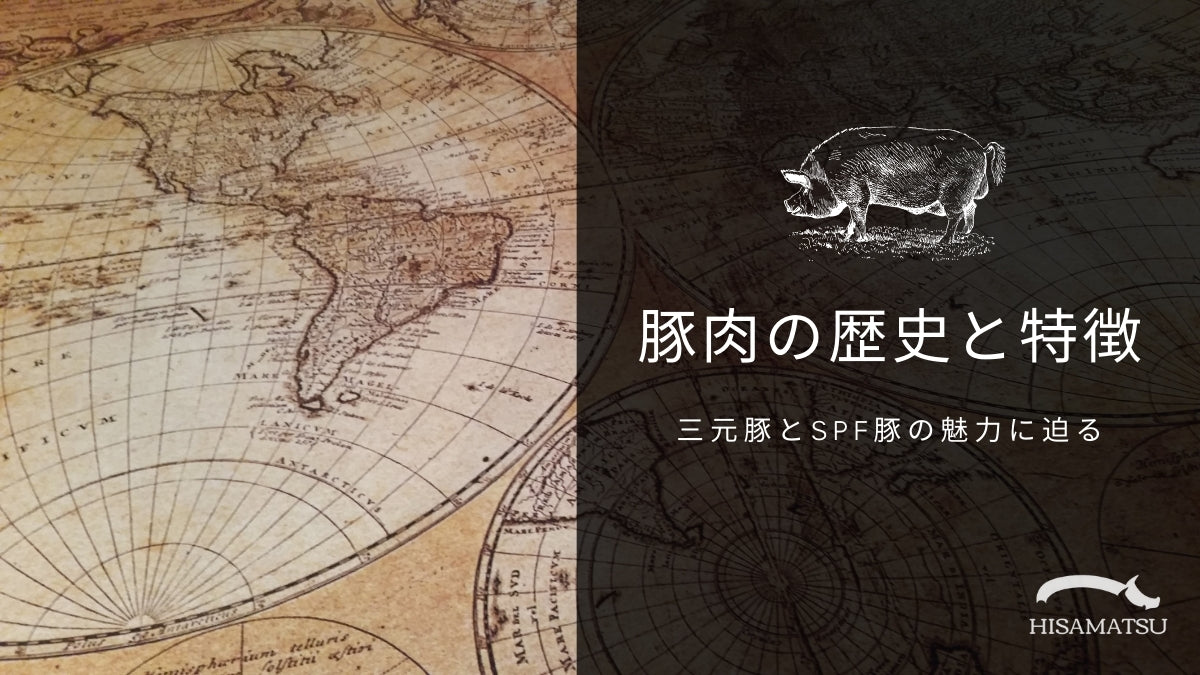 豚肉の歴史と特徴｜三元豚・SPF豚を徹底解説